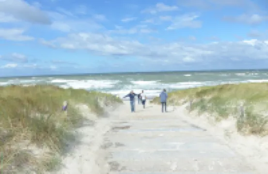 Baltic Sea wind at the edge of the forest