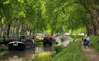 House rue de Négreneys - 64m2, garden access, Minimes - canal du midi.