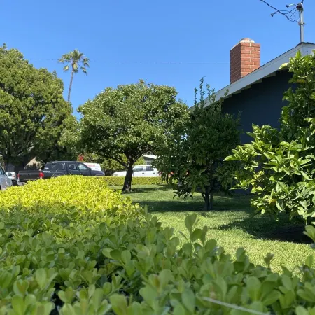 HEATED POOL & JACUZZI, QUIET, AIRY SPA LIKE BACKYARD, NEAR NEWPORT BEACH