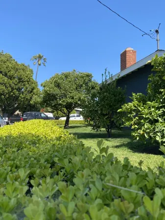 HEATED POOL & JACUZZI, QUIET, AIRY SPA LIKE BACKYARD, NEAR NEWPORT BEACH Отели рядом с достопримечательностью «OC Fair & Event Center»