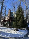 Cozy Lodge with view- Wintergreen Ski Chalet - Walk to slopes & family friendly!