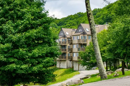 Ski-In Ski-Out on Omas Meadow Отели рядом с достопримечательностью «оз. Уайлдкэт»