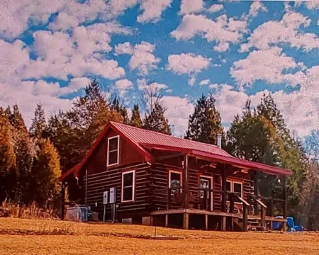 Cozy 2-bedroom country side cabin. Minutes from Patoka Lake. Pet friendly. Hotels in Orange County