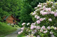 Deer Country Vacation Cabins #4 - Long Range View, Dogs Friendly