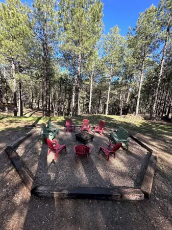 Cozy, Quiet Picturesque Cabin in the Pines & Perfect Escape from the Heat!