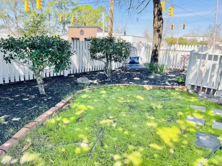 Historic Alston-Charlotte Cottage in Downtown New Bern! Отели рядом с достопримечательностью «The Boathouse»