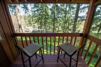 Tranquil Forested Cabin with Sauna, Home Gym, & AC