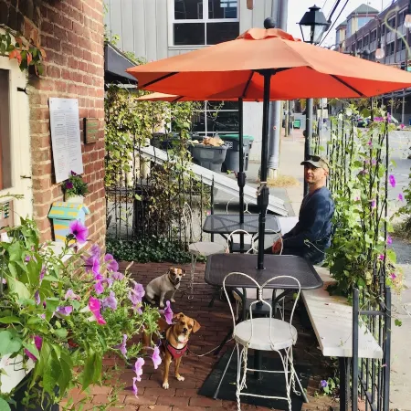 Historic Beauty and Walkable to Everywhere