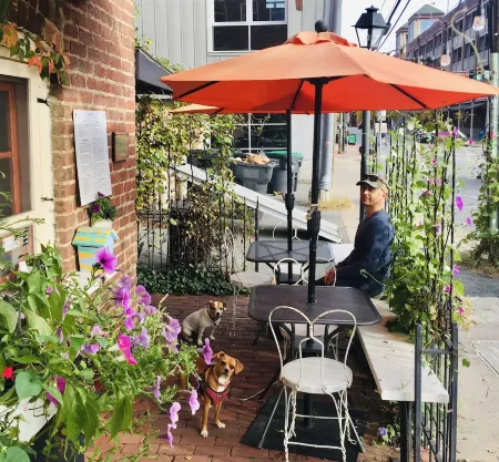 Historic Beauty and Walkable to Everywhere Отели рядом с достопримечательностью «Университет Вирджиния»