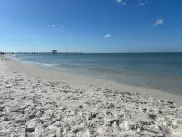 Paradise awaits! Heated pool, huge lanai, outdoor oasis close to downtown Naples