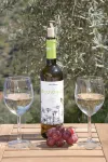 Villa Roble, 8 Pers, Heated Pool, Wifi, BBQ, Petfriendly, magnific view