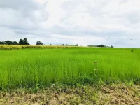 Augustant, quiet Normandy house 2 steps from Honfleur Các khách sạn ở Ablon