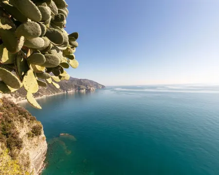 Up to 5 guest house above the Cliff House Hotels in Corniglia