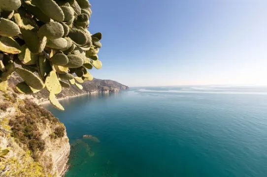 Up to 5 guest house above the Cliff House