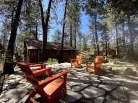 Wrightwood Cozy Cabin near Mt. High Hotels in Wrightwood