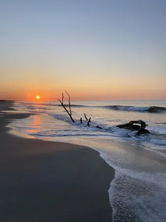 Babington Ocean Front Beach Home with Pool--heated pool optional--