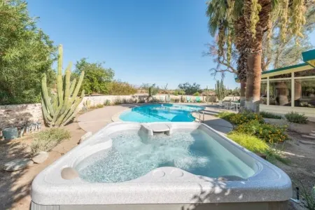 The Hummingbird Haven of Borrego Springs