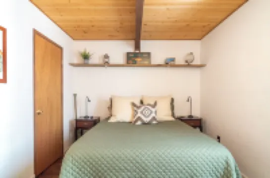 Pet and Family Friendly - Winter Wonderland