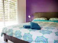 Moo Creek Rainforest hideaway - 3-Star