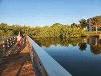 LIVE ON THE BEACH. Gulf Beach Front - Spectacular views.