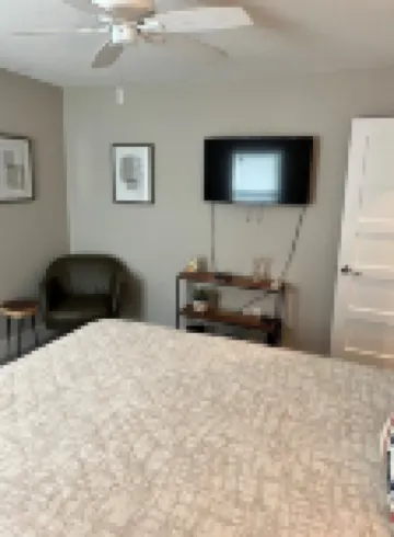 Experience the Best of Downtown St. Pete!