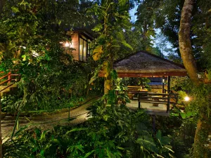 Ambong Rainforest Retreat