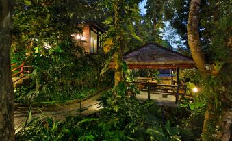 Ambong Rainforest Retreat