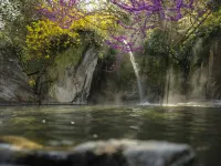 HITOYOSHI IWAKURANOMORI