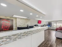 Red Roof Inn Kissimmee Hotels in Kissimmee