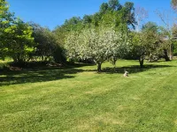 2 acres 3 bed 3.5 bath on the Sacramento River.