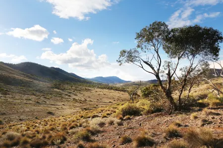 Pichi Richi Park Отели в г. Порт-Огаста