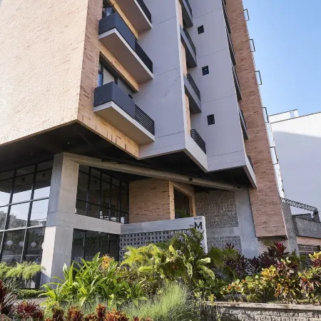 Mosaic Studios Buenavista