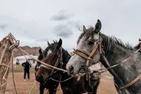 訪問Kel-Suu蒙古包營地 酒店