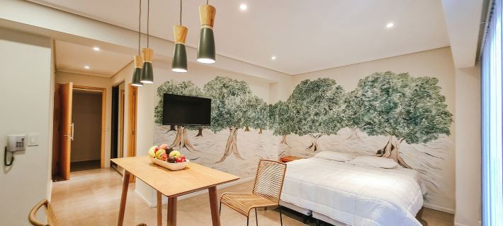 Le Montreal Apartments Hotels in Mendoza