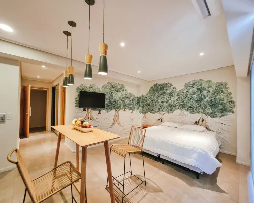 Le Montreal Apartments Hotels in Mendoza