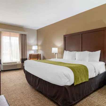 Comfort Inn & Suites Hotels in Experiment