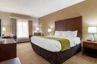 Comfort Inn & Suites Hotels in Griffin
