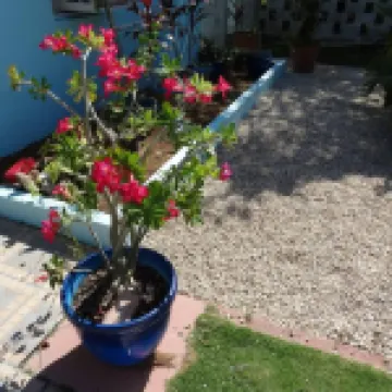 S2 BP Steps to Beach Hoteles en West Bay