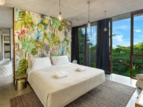 The Planchonella House - Eco Stay de Luxe Hotels in Edge Hill