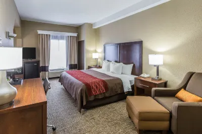 Comfort Inn South فنادق في Kingsport