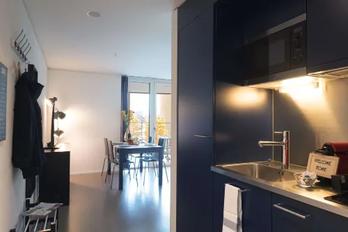 Hitrental Allmend Comfort Apartments - Kitchens
