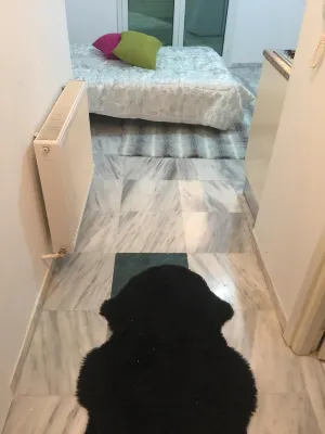 Studio Apartment Beach Front