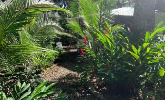 Beachfront Apartment Punta Uva