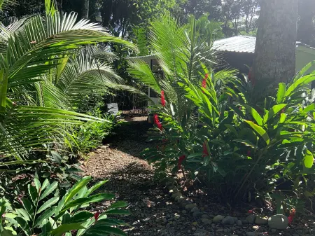 Beachfront Apartment Punta Uva Отели в г. Punta Uva