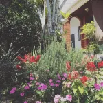Guest House Umusan