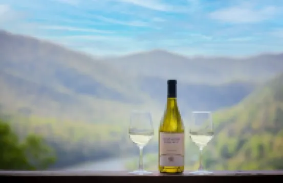 Lake Life Mountain & Lake Views, Hot Tub, & Dock