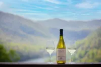 Lake Life Mountain & Lake Views, Hot Tub, & Dock