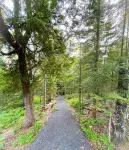 Northwoods Cabin - private beach access