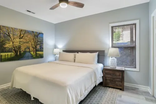 Bring Pets to this Fun South Asheville Hot Tub Townhome Hôtels à : Arden