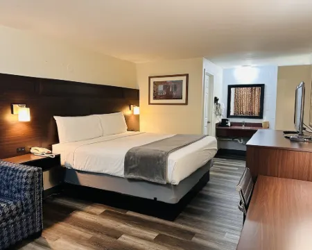 ノースウッズモーテル ブレインのホテル